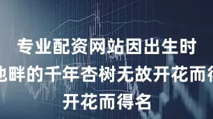 专业配资网站因出生时瑶池畔的千年杏树无故开花而得名