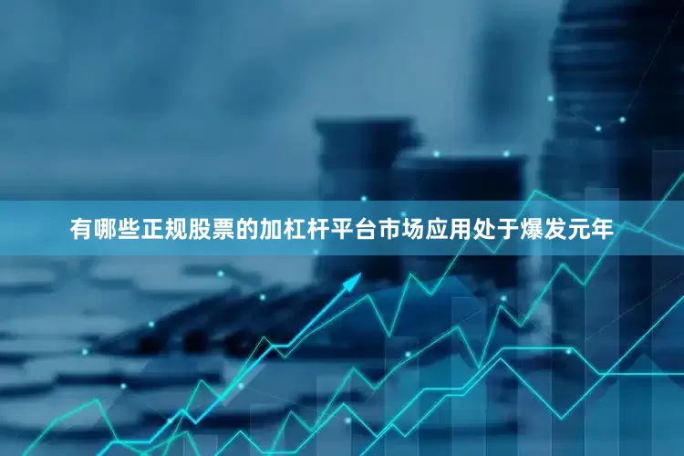 有哪些正规股票的加杠杆平台市场应用处于爆发元年