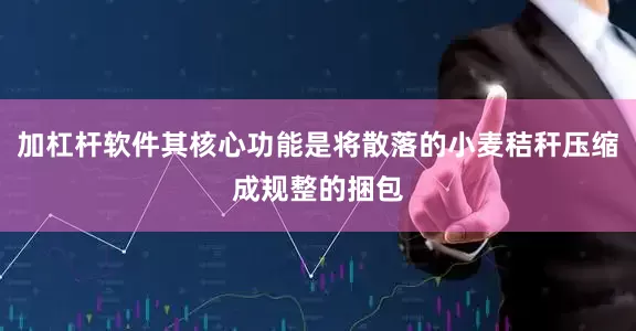 加杠杆软件其核心功能是将散落的小麦秸秆压缩成规整的捆包