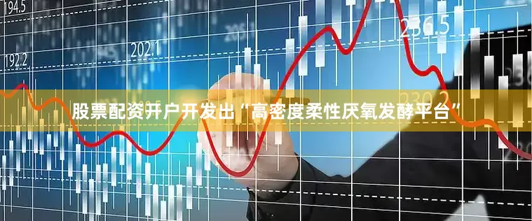 股票配资开户开发出“高密度柔性厌氧发酵平台”